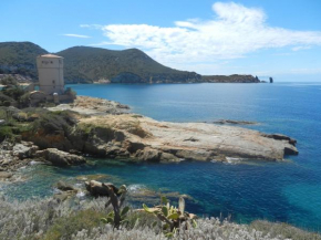 Ginestra